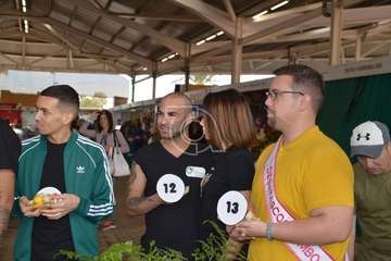 Sorteo del orden de participación en la Gla drag Queen de Telde (Foto TA y FJS)